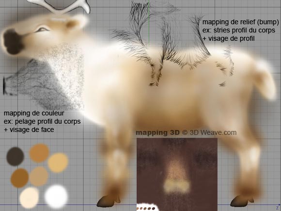 Mapping de relief et de couleurs en UVW